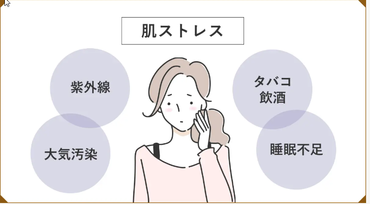 肌ストレス　紫外線、大気汚染、タバコ、睡眠不足